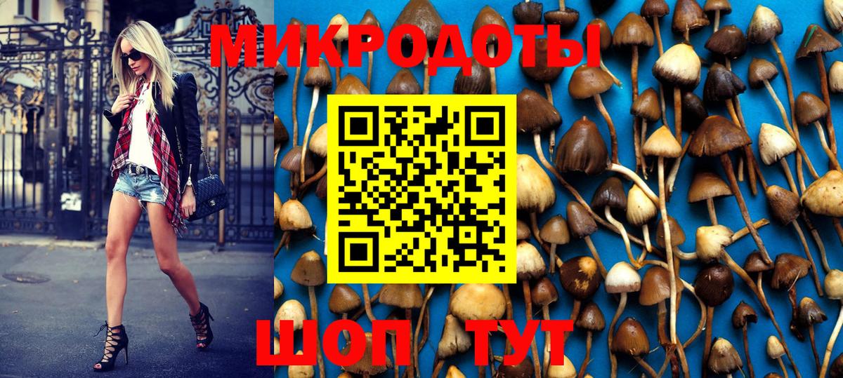 Псилоцибиновые грибы Psilocybine cubensis Ишим